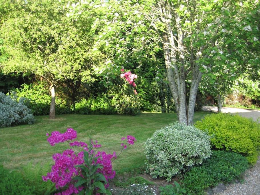 Self Catering Apartment At Beechwalk House. Енискери Екстериор снимка